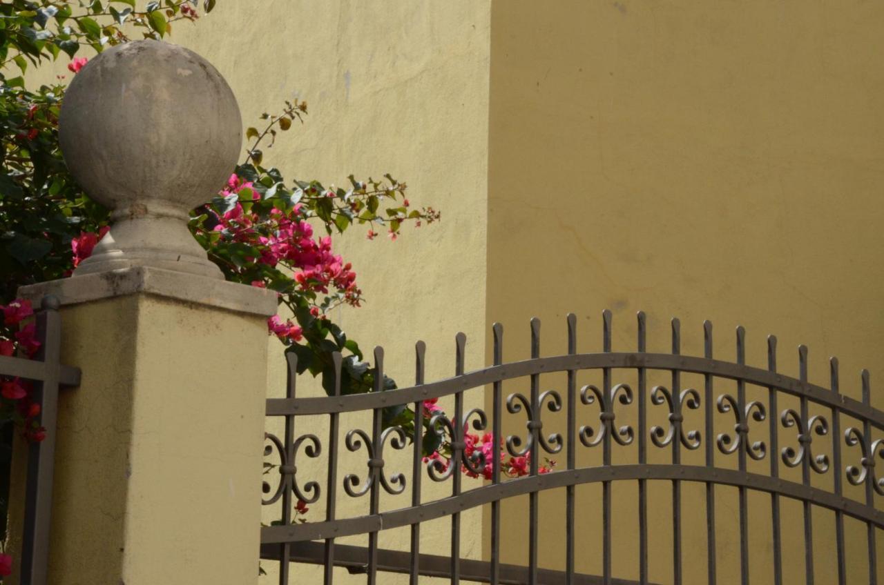 مبيت وإفطار سينيسكولا Casa Cabras المظهر الخارجي الصورة