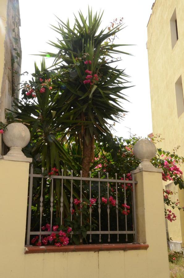 مبيت وإفطار سينيسكولا Casa Cabras المظهر الخارجي الصورة